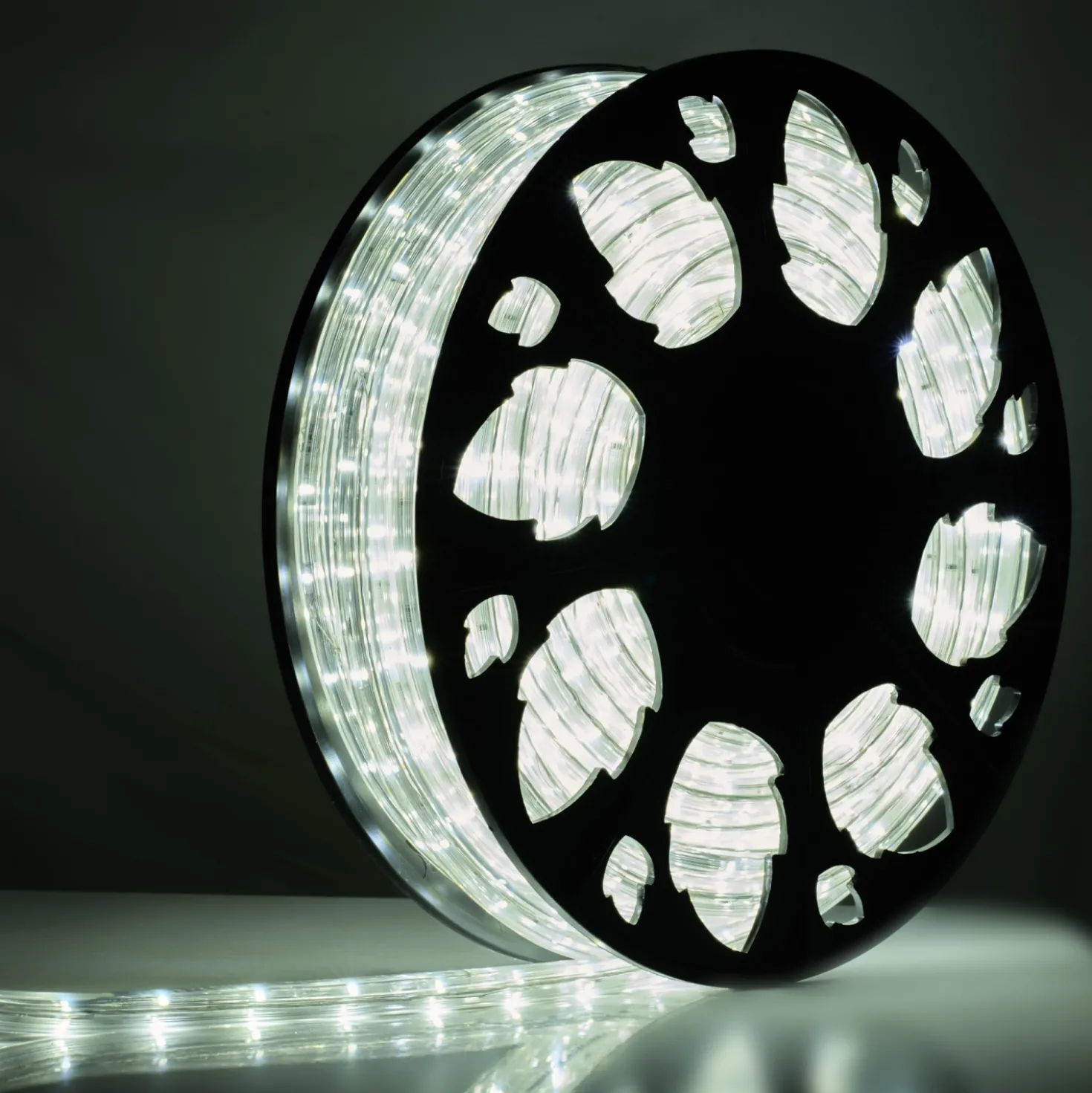 Bailey RoBust LED Rope 360° - 25M - 5W/m - 420Lm/m - 6500K - IP65