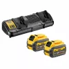 DeWALT DCB132T2-QW 18 / 54V FlexVolt Li-Ion accu starterset (2x 6.0Ah) + duolader