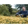 DeWALT DCMHT564N-XJ 18V Li-ion accu heggenschaar body - 55cm