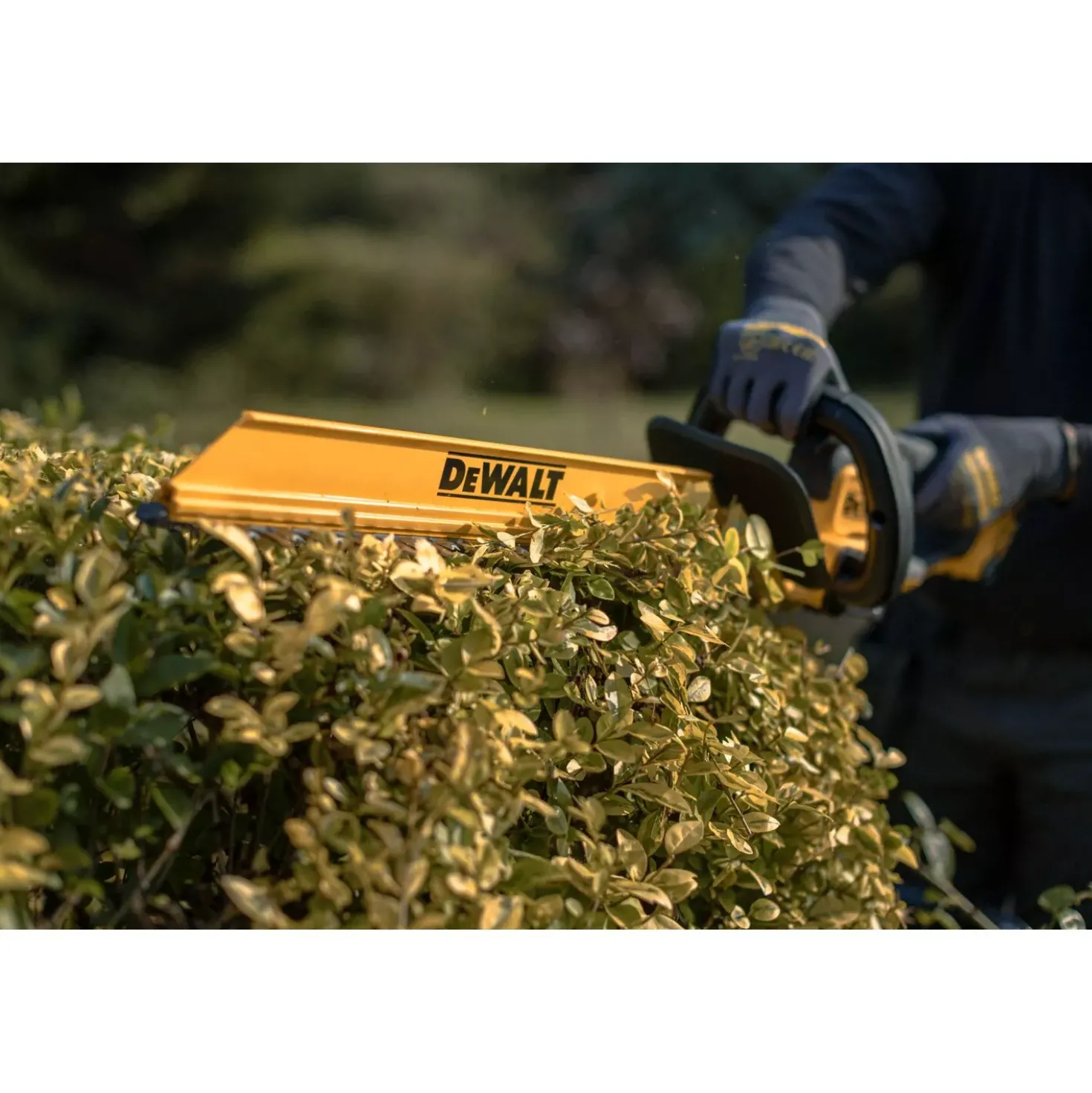 DeWALT DCMHT564N-XJ 18V Li-ion accu heggenschaar body - 55cm
