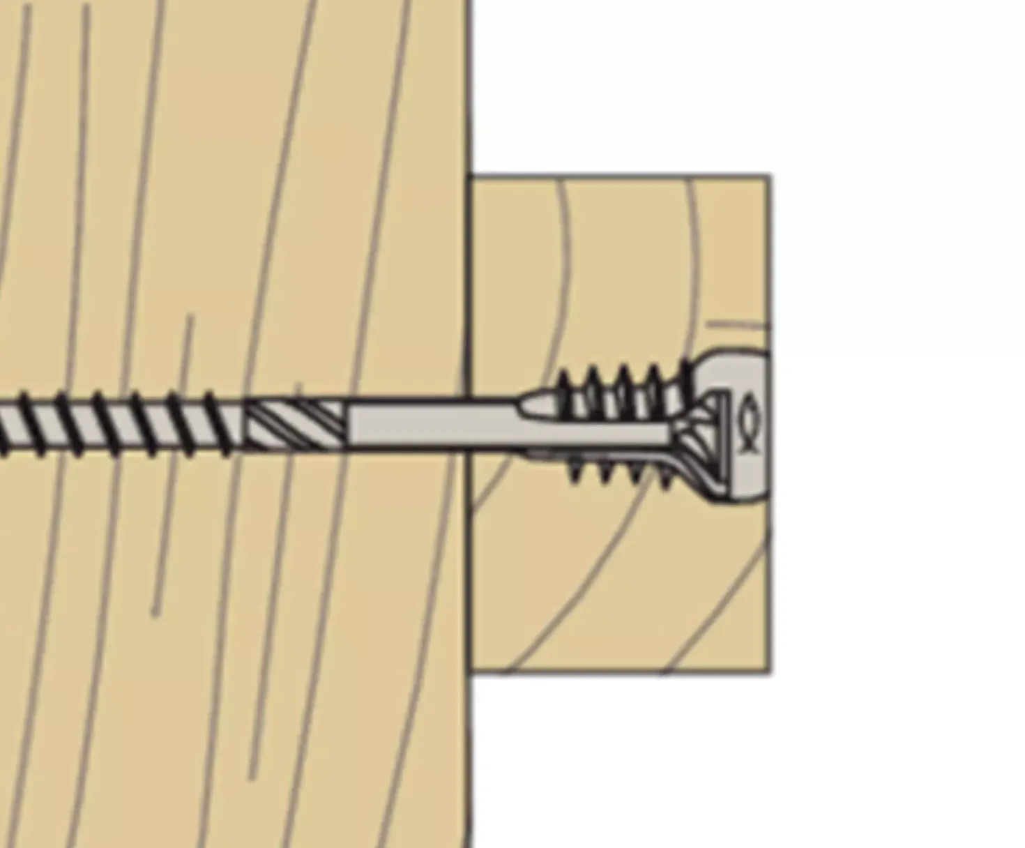 Fischer 558883 Montage tool en bit voor stelschroef in kunststof box - FAFS