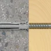 Fischer 568206 SX Plus Pluggen - 6 x 30mm - met schroef 4,5 x 40mm (50 st)