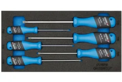 Gedore 1500 CT1-2163 TX 3-C 6 delige torx Schroevendraaierset in 1/3 CT module