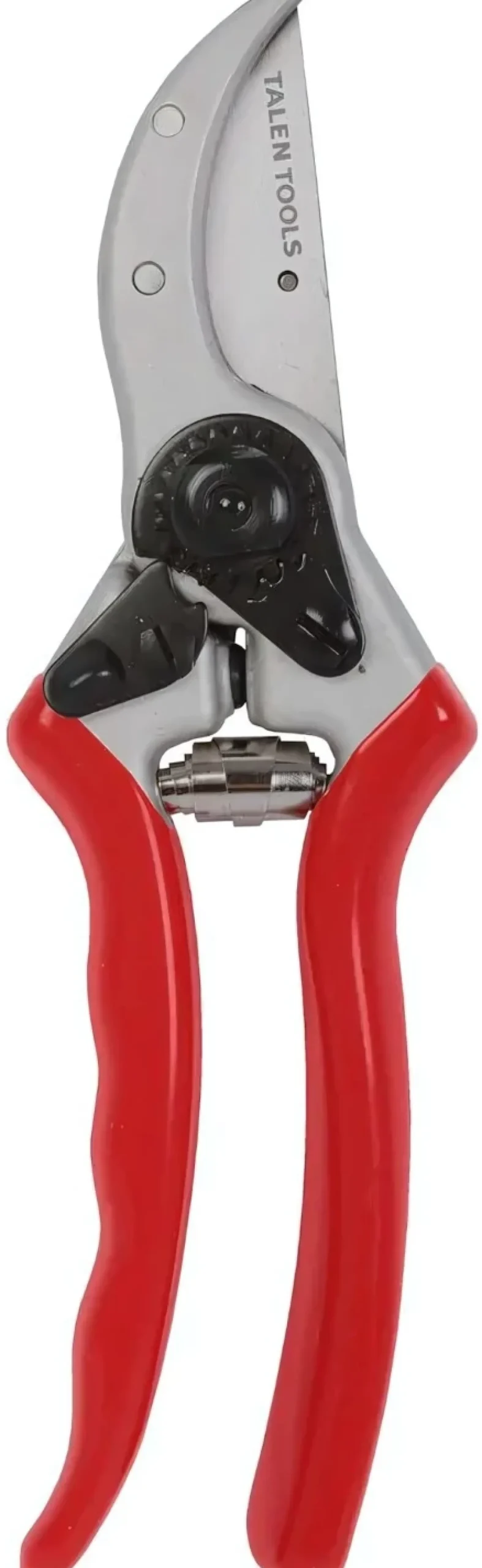 Talen Tools F191 Snoeischaar - Professioneel - Titanium - Voorbijsnijdend