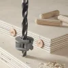 Wolfcraft 2916000 Deuvelset - 6mm - 31-delig